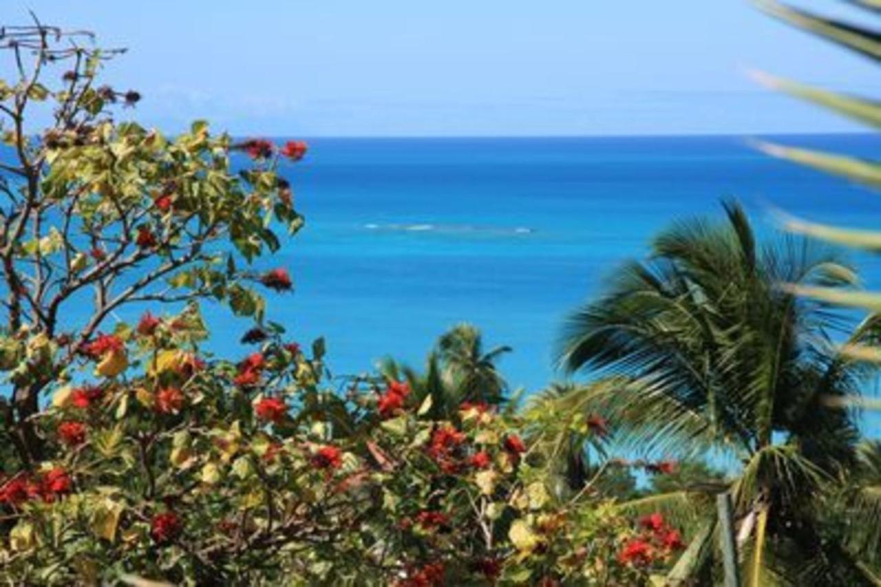 Attractive 2-Bed Apartment Stunning Sea View Dickenson Bay Екстер'єр фото